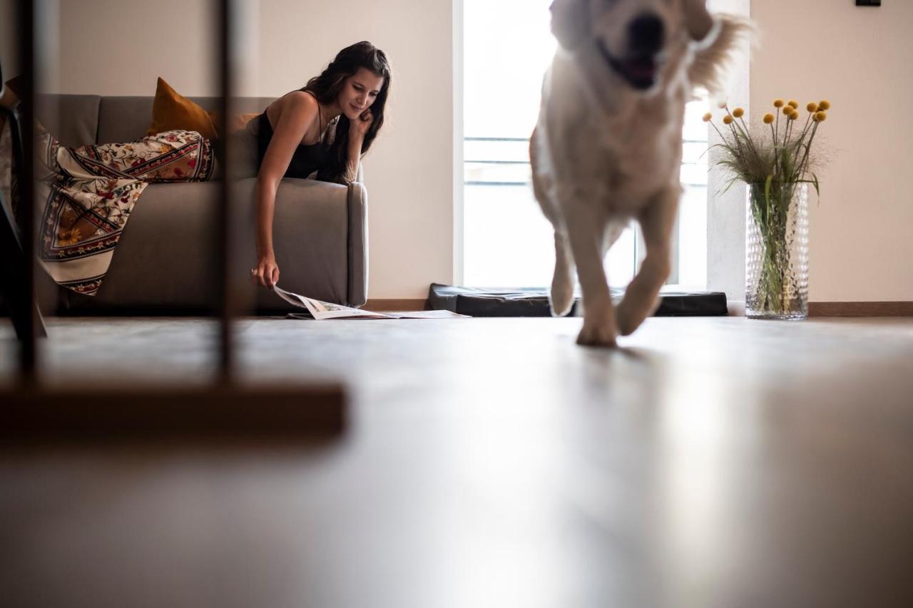 Sambucus Apartments -Premium Apartments For You And Your Dog Lana Ngoại thất bức ảnh